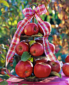 Malus (rote Äpfel) auf Metalletagere, Blätter, karierte Schleife