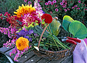 Fresh cut Dahlia, Aconitum, Aster