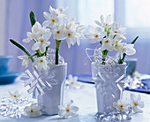 Strauß aus Narcissus tazetta (Tazetten, duftend) in weißen Bechern