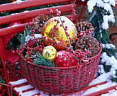 Basket with pinus, ilex and tree balls