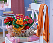 Red and orange gerberas in tissue paper in a metal basket