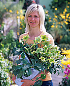 Junge Frau mit Helleborus Gold Collection (Christrose)