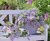 Syringa (lilac) in white basket and jug on white wooden bench