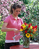 Woman watering a bouquet of Tulipa (tulips) and Carpinus (hornbeam)
