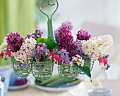 Syringa (lilac) and Dicentra (watering heart) in white and purple