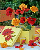 Napkin technique Poppy flowers