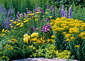 Blue-yellow bed with Solidago (goldenrod), Achillea (yarrow)