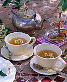 Tee aus Blüten von Sambucus nigra (Schwarzem Holunder) in weißen Tassen