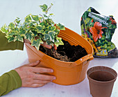 Planting orange metal jardiniere (2/5)