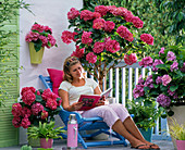 Shadow balcony with hydrangea