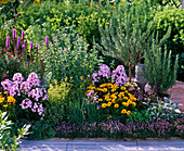Herb bed with perennials, phlox, coreopsis