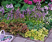 Shadow corner with decorative ornamental perennial leafs