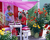 Dahlia terrace with awning