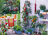 Terrace with herbs and vegetables