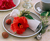 Hibiscus (rose marshmallow), red flower and grasses on