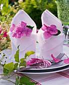 Hydrangea (Hortensien), Blüten in gefaltete Servietten gesteckt