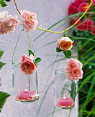 Lanterns with pink (roses) hanging on a string