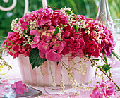 Hydrangea (Hortensien, pink), Polygonum (Knöterich) in gestreifter Jardinier