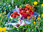 Sieve with various Lycopersicon (tomatoes) on tray, knife