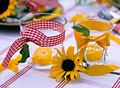 Flower of Helianthus (sunflowers), lanterns with bows