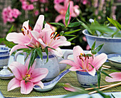 Lilium (Lilien) in Teekanne und -schale, Löffel aus Porzellan auf Flechtmatte