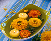 Calendula flowers and floating candles in a square bowl