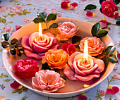 Blüten von Rosa (Rosen), Schwimmkerzen in Rosenform in Schale