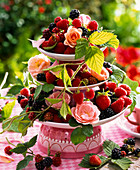 Rubus (Brombeeren und Himbeeren) und Rosa (Rosen) auf Etagere