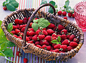 Basket with Rubus 'Harvest Blessing' (raspberries)