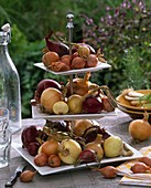 Allium (onions) on square etagere, knife, kitchen towel