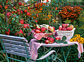 Malus 'Retina' (Apple), baskets with freshly harvested apples