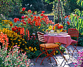 Terrace border with Dahlia (dahlias), Gladiolus (gladioli)