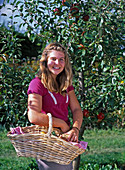 Girl harvesting Malus (apples)