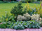 Green bed with shrubs and leafy ornamental perennials