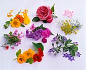 Tableau mit eßbaren Blüten: Calendula (Ringelblumen), Rosa (Rosen)