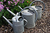 Various zinc watering cans filled on a bark mulch path