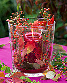 Lantern with autumn leaves of Parthenocissus (maidenhair vine)