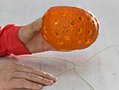 Pumpkins as lanterns in the window