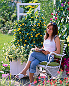 Planting Thunbergia in white tubs