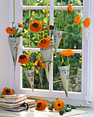 Calendula (Ringelblumen) in spitzen hängenden Vasen im Fenster, Bücher