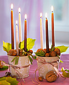 Corylus and Juglans in cups as candlesticks
