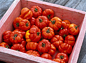 Capsicum (ornamental capsicum) in a wooden stand