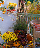 Miscanthus (Chinese reed) in garden waste bag with foliage decoration