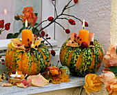 Cucurbita 'Chamäleon' (Kürbisse) als Kerzenhalter mit Rosa (Rosen)