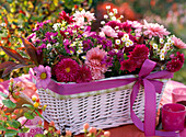 Strauß aus Chrysanthemum (Herbstchrysanthemen), Aster (Herbstastern), Cosmos