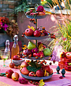 Etagere mit Malus (Äpfel, Zieräpfel), Pyrus (Birnen), Aster (Herbstastern)