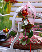 Malus (Zieräpfel, Früchte und Laub), Hydrangea (Hortensien)