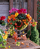 Hanging Basket mit Cyclamen (Alpenveilchen), Fragaria