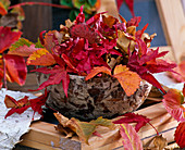 Bouquet of autumn leaves of Liquidambar (amber tree), Fragaria (strawberries)