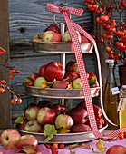 Früchte und Blätter von Malus (Apfel) auf Etagere mit karierter Schleife